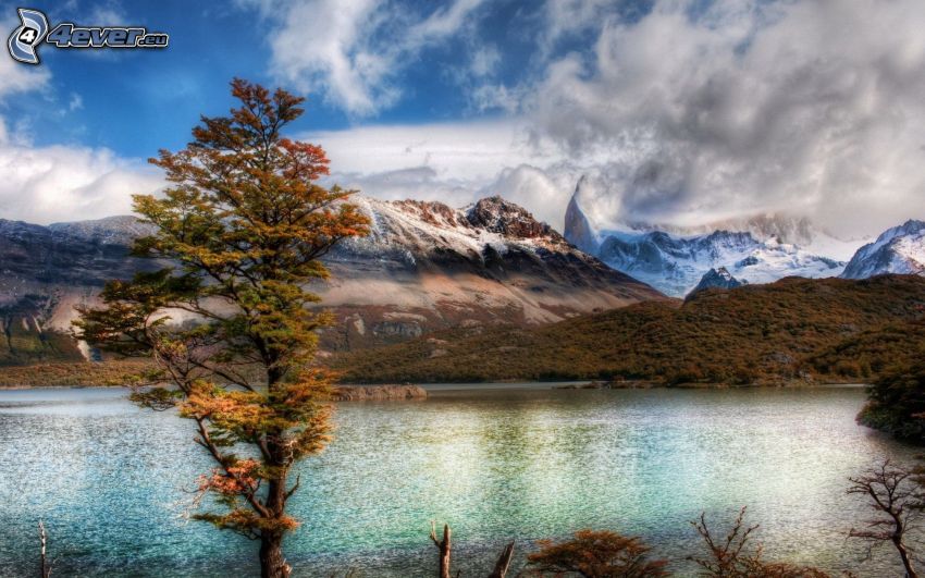 lac, montagnes enneigées, arbre en automne