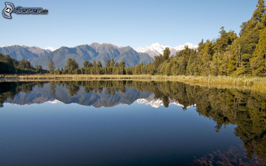 lac dans la forêt, montagne, surface de l´eau calme, reflexion