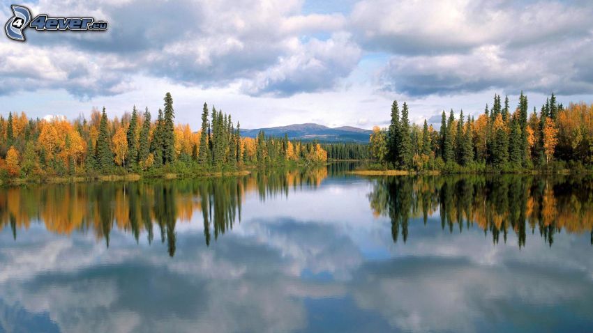 lac dans la forêt, nuages, reflexion, arbres jaunes, surface de l´eau calme