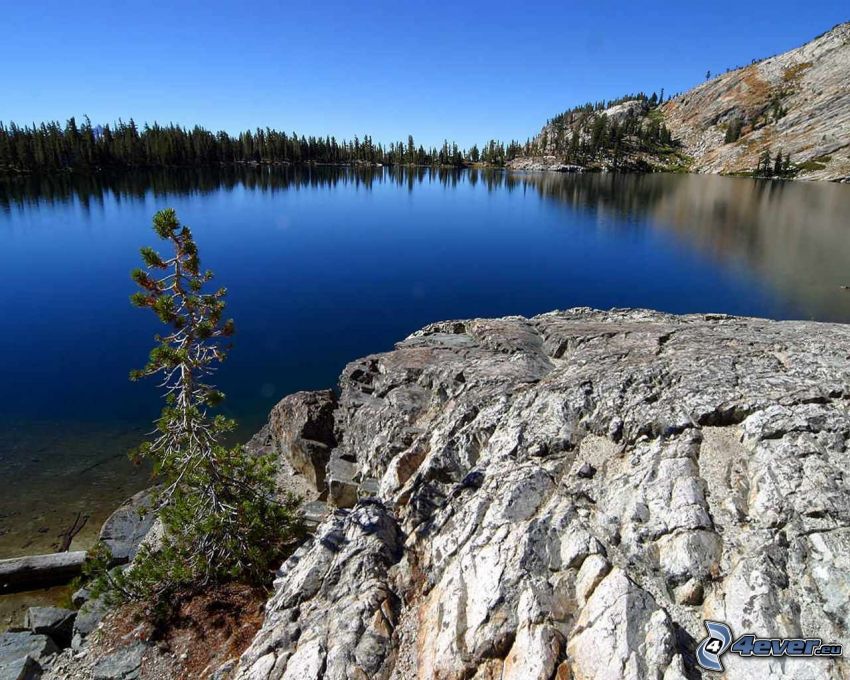 May lake, Parc national de Yosemite, lac