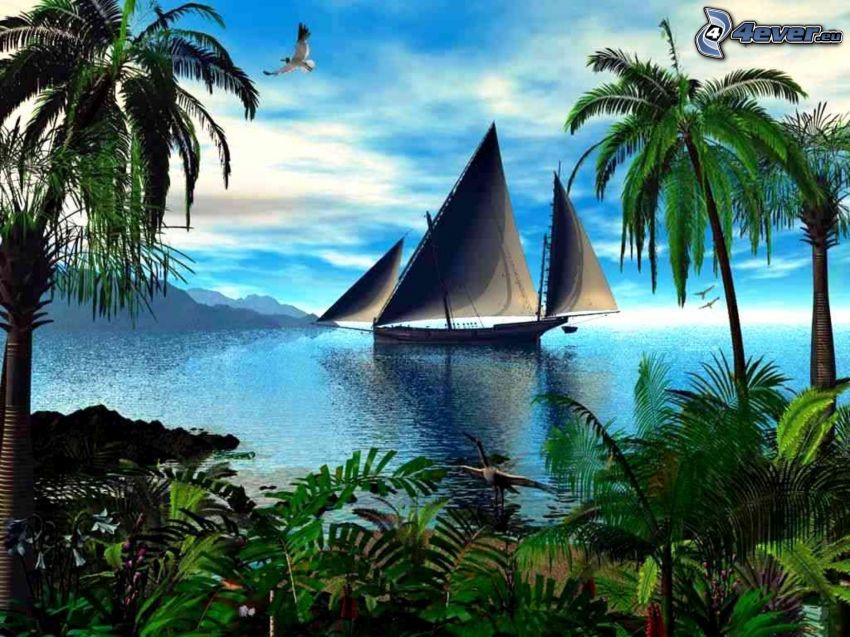 bateau à voile, mer, palmiers, plantes