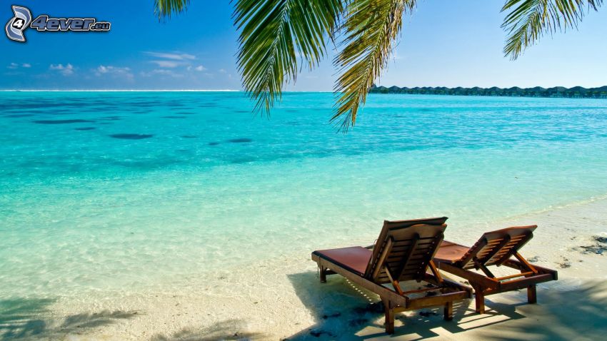 chaises longues sur la plage, la mer azurée en été