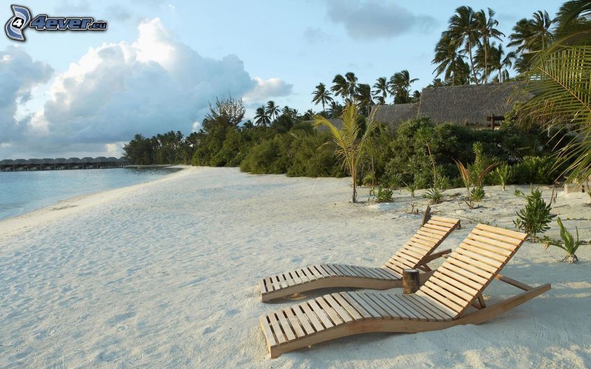 chaises longues sur la plage, plage de sable, palmiers