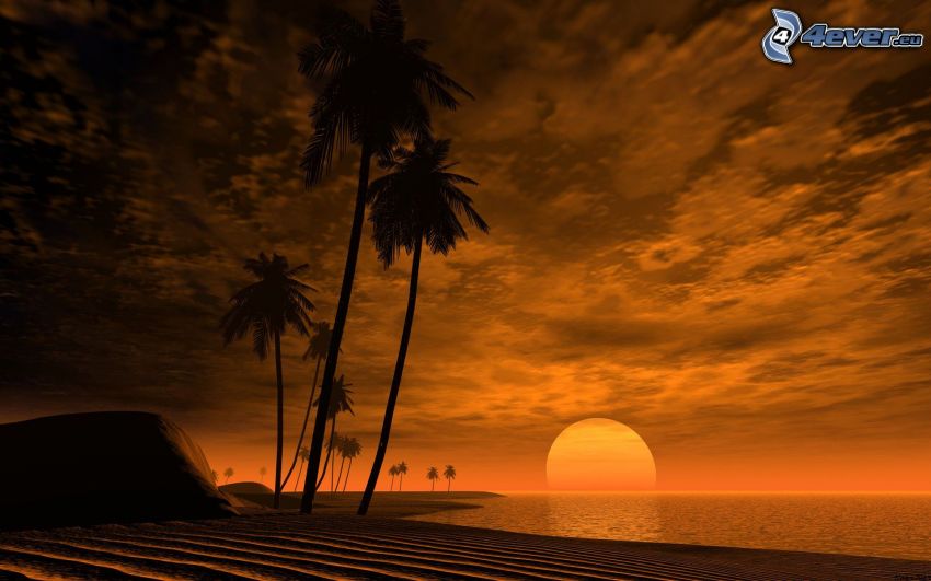couchage de soleil sur la mer, Afrique, palmiers, île tropicale, nuages
