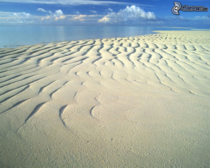 dunes de sable sur la plage, mer