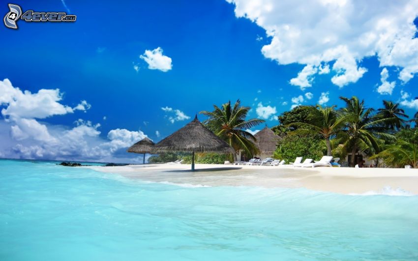 Maldives, mer, palmiers, parasol, nuages