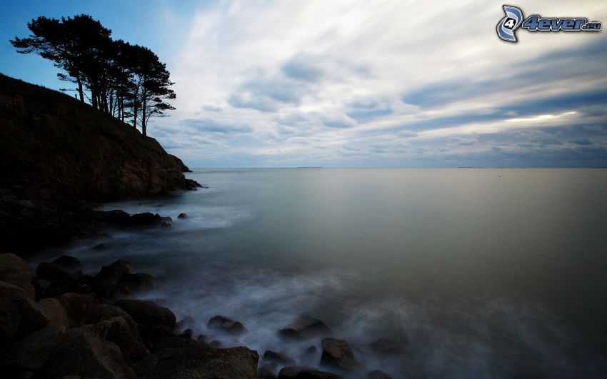 mer, côté rocheux, silhouettes d'arbres