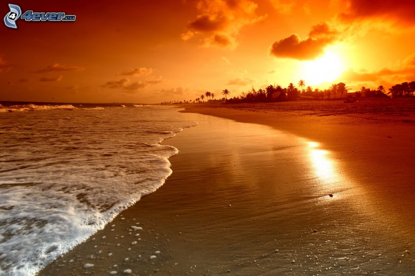plage au couchage du soleil, plage de sable, ciel orange