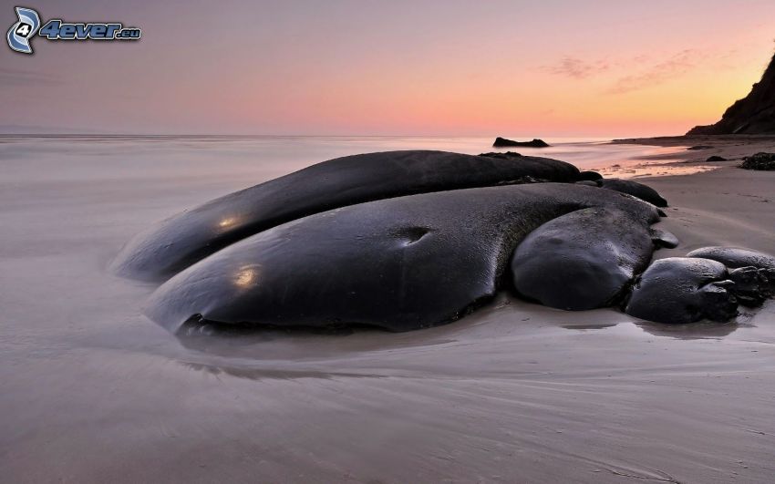 roches dans la mer, après le coucher du soleil