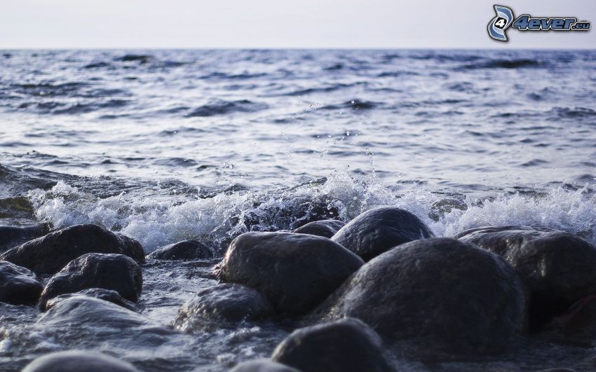roches dans la mer
