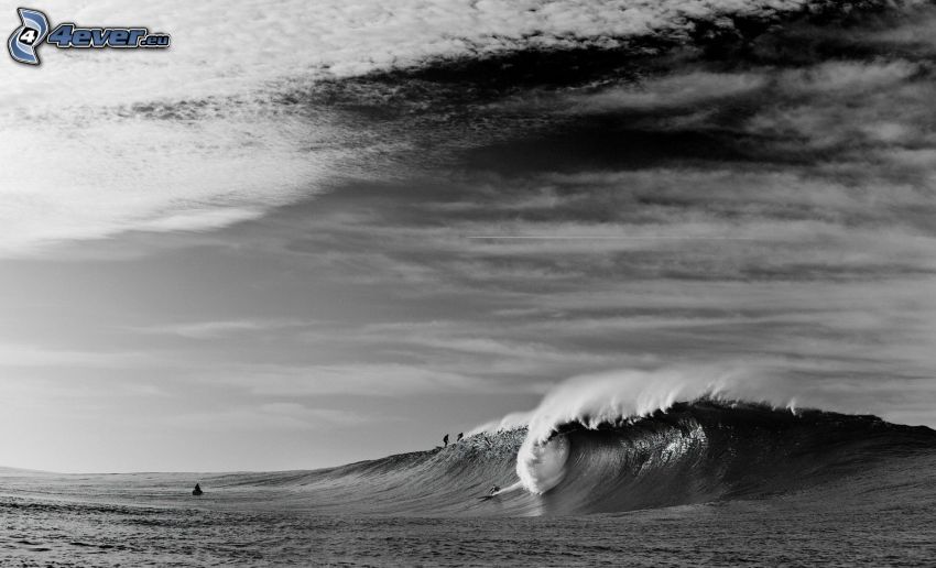 vague, mer, photo noir et blanc