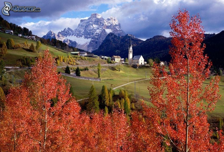 arbres d'automne, vallée, montagne rocheuse, neige