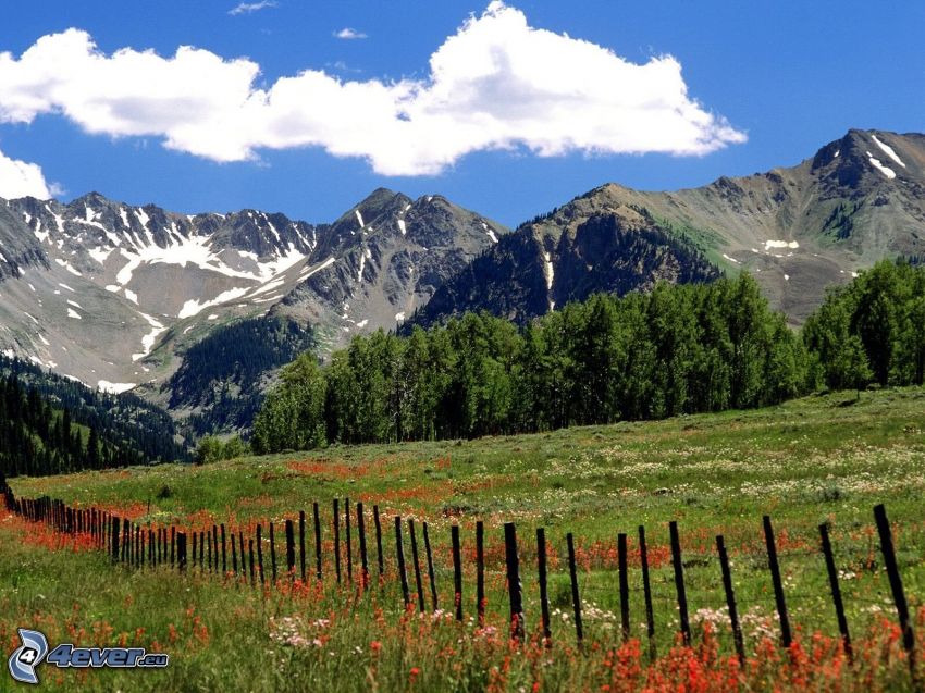 Aspen, Colorado, collines, prairie, clôture, nuage, arbres