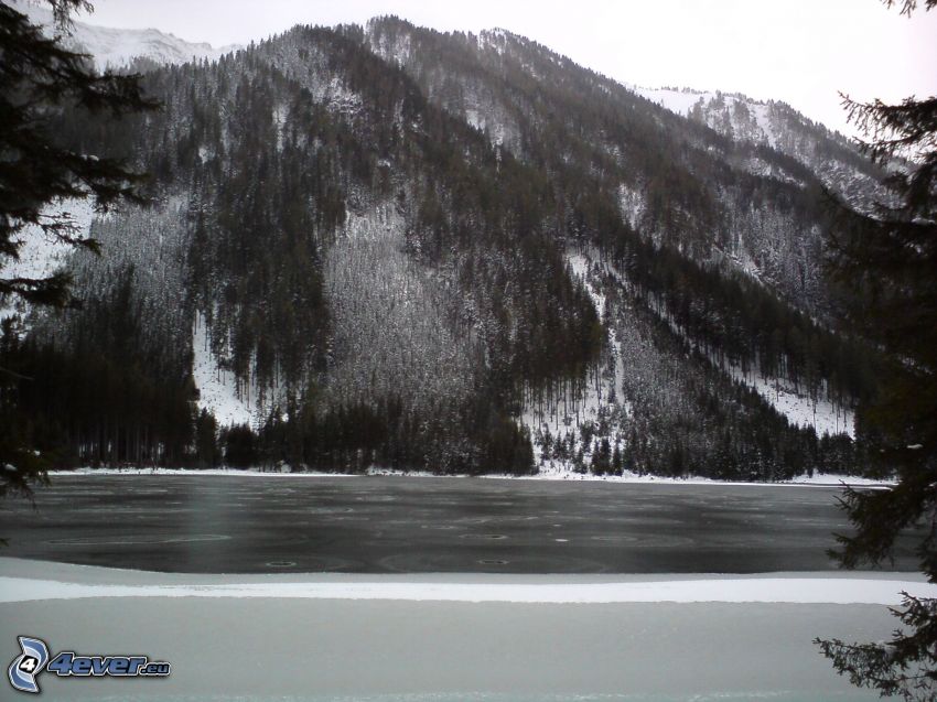 collines, lac, l'hiver, photo noir et blanc
