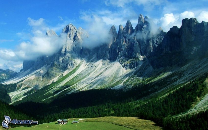 Dolomites, montagnes rocheuses, forêt de conifères