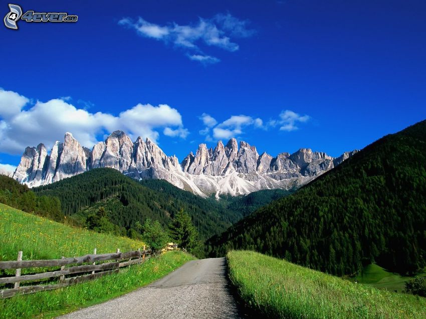 Dolomites, montagnes rocheuses, route, forêt de conifères