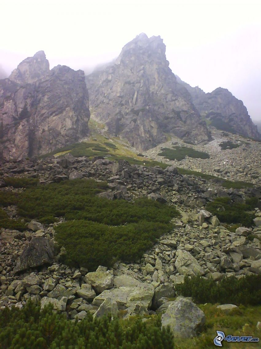 Hautes Tatras, montagnes, ciel, nuages