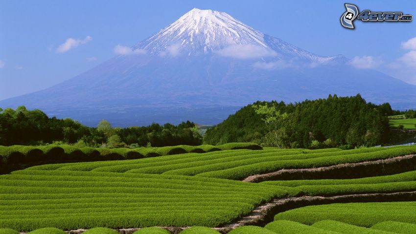 mont Fuji