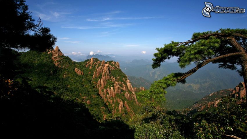 montagne rocheuse, arbres, vue sur le paysage
