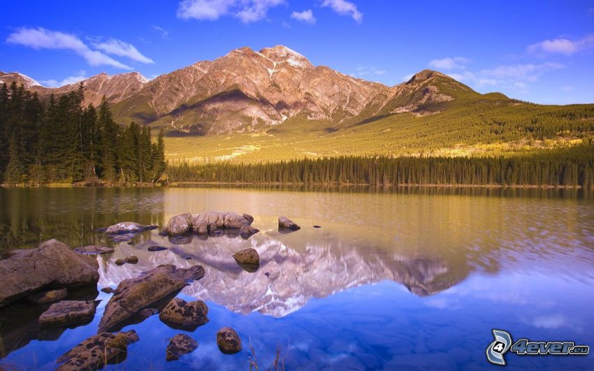 montagnes, lac dans la forêt, reflexion