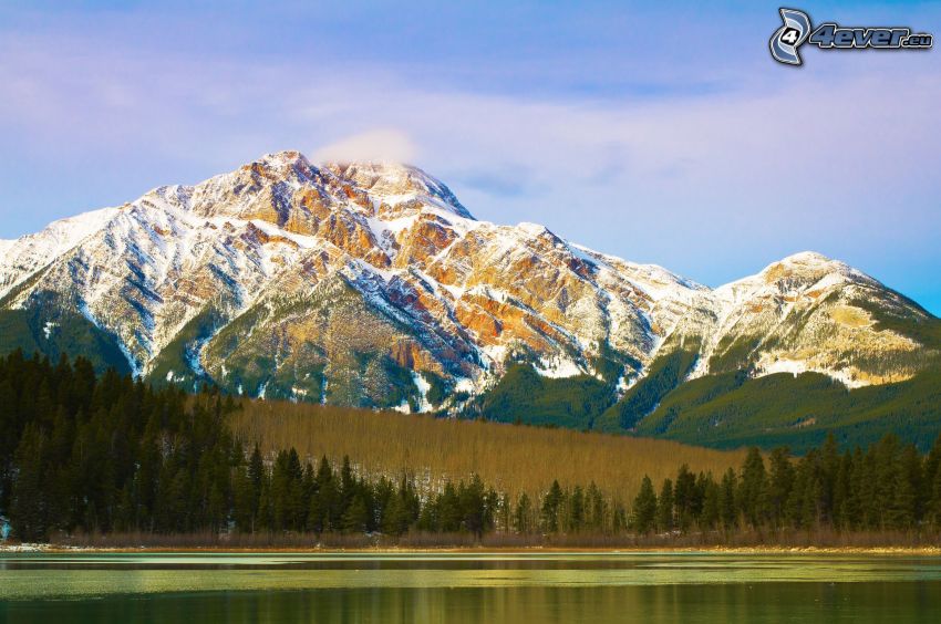 montagnes enneigées, arbres conifères, lac