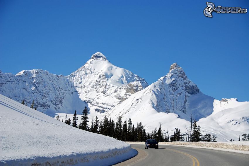 Mount Athabasca, montagnes enneigées, route