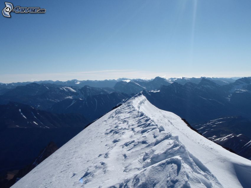 Mount Athabasca, montagnes rocheuses, neige