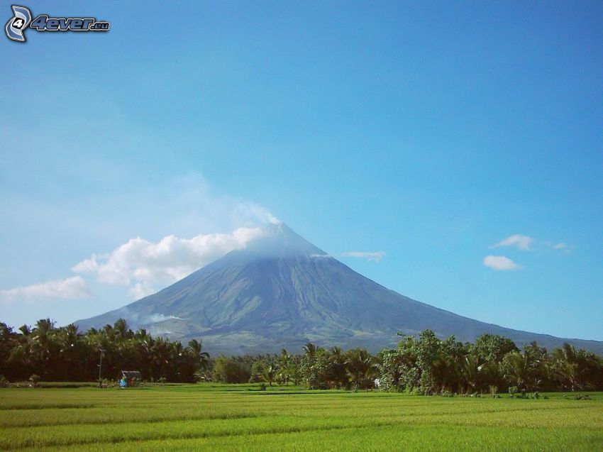 Mount Mayon, forêt, prairie, Philippines