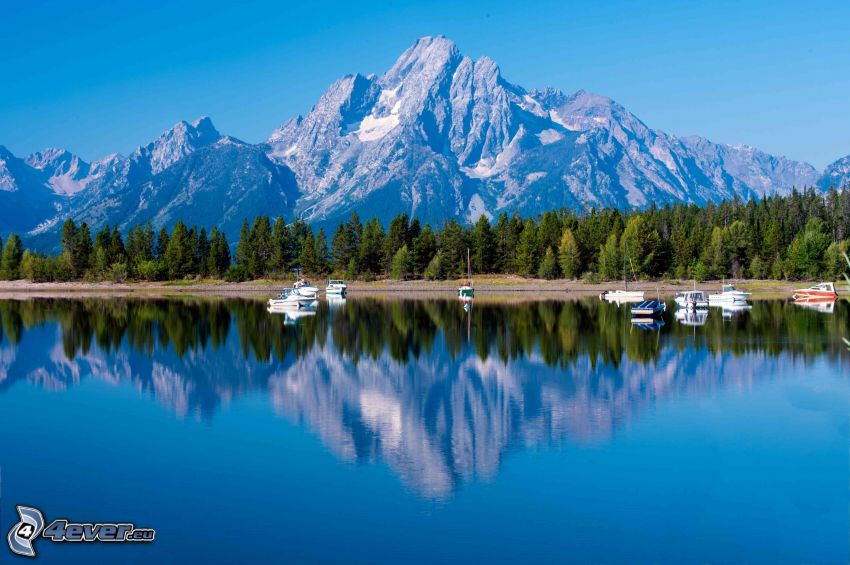 Mount Moran, Wyoming, lac, reflexion, forêt de conifères, montagne rocheuse