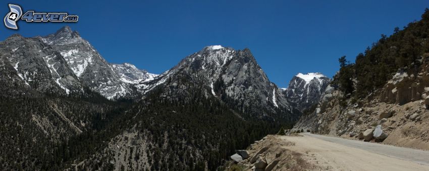 Mount Whitney, montagnes rocheuses, forêt