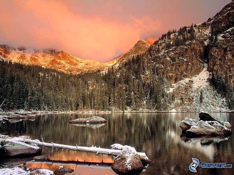 paysage d'hiver, lac dans la forêt, neige, givre