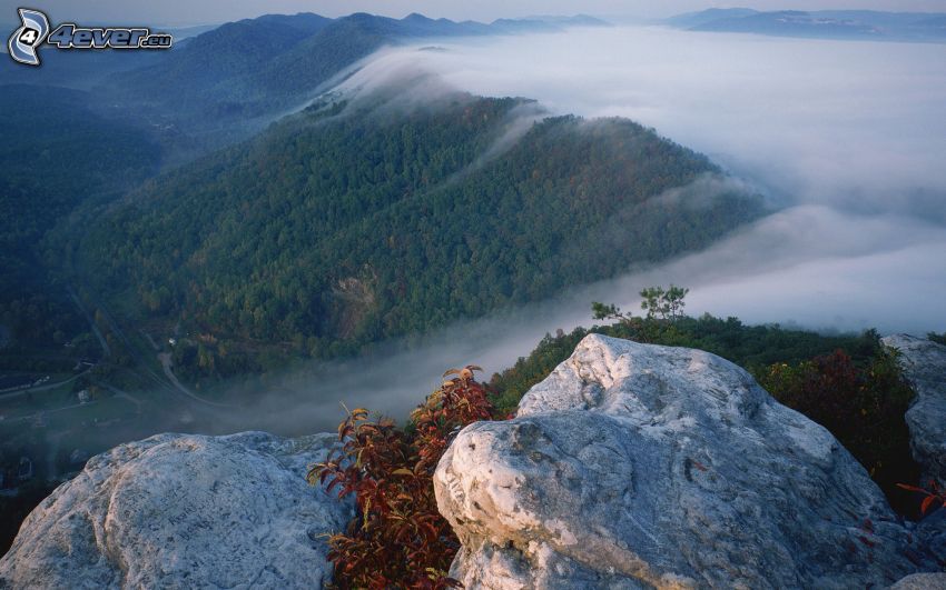 rocher, vue sur la vallée, montagnes, brouillard