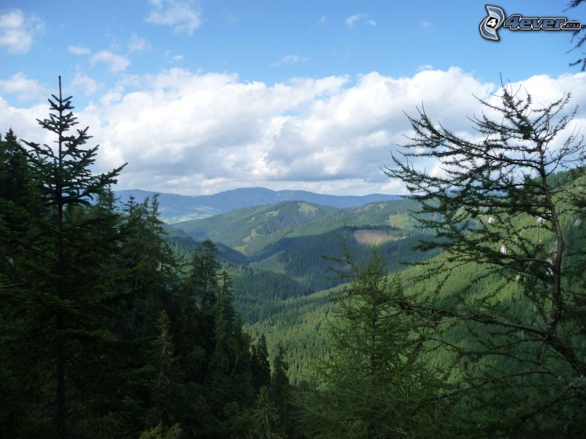 vue sur le paysage, forêt, Malá Stožka, Monts Métallifères slovaques