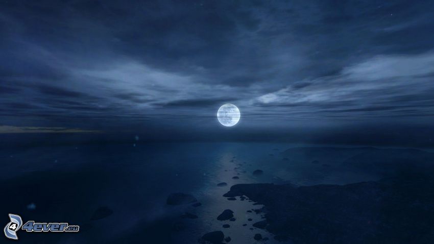 nuit, lune pleine, lune, mer