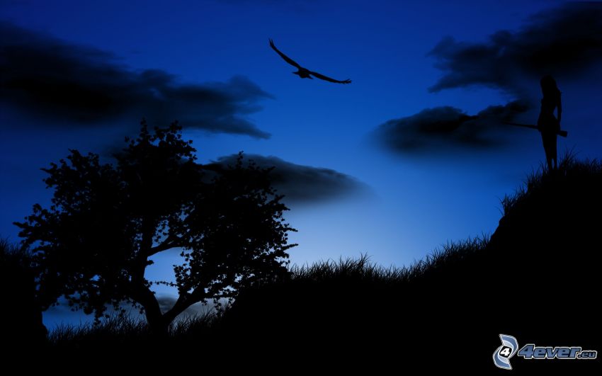 Paysage de nuit, silhouettes d'arbres, aigle