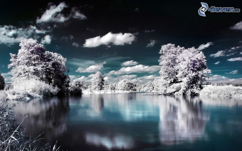 paysage d'hiver, arbres enneigés, rivière