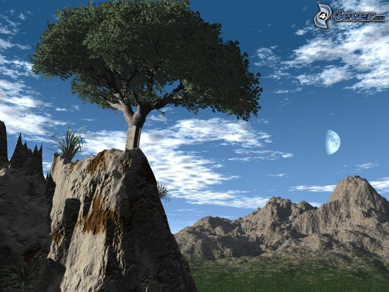 arbre sur un rocher, paysage numérique, lune