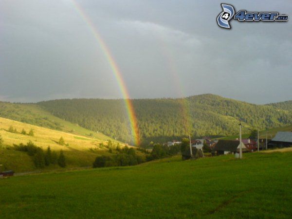 arc en ciel, nature, forêt, prairie