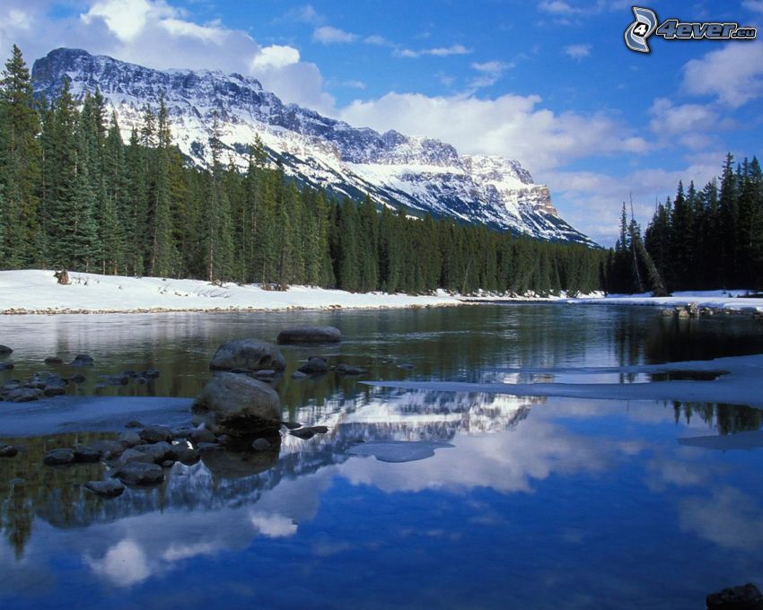Bow River, forêt, montagnes enneigées, en Alberta, Canada