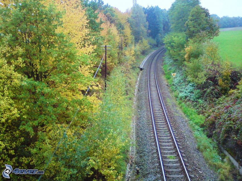 chemins de fer, automne, rails
