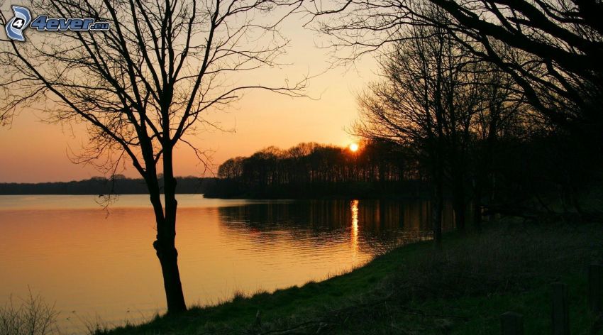 coucher du soleil, soirée, Lac calme du soir