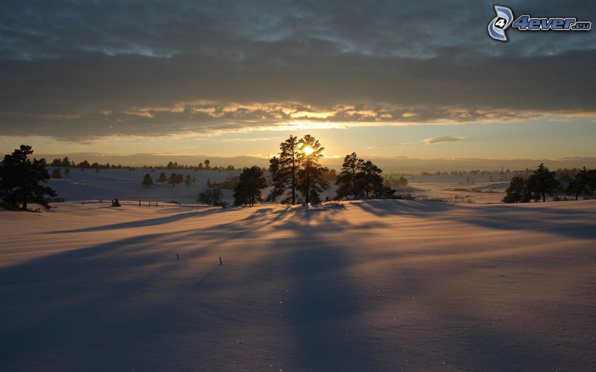coucher du soleil en hiver, neige, ombre des arbres