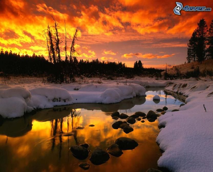 coucher du soleil en hiver, nuages oranges, ruisseau, forêt, en Alberta