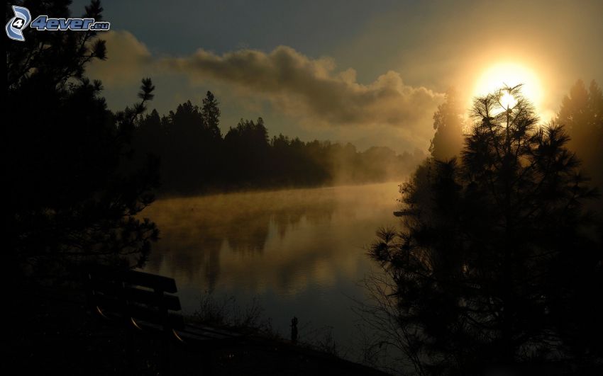 coucher du soleil sur le lac, arbres, banc