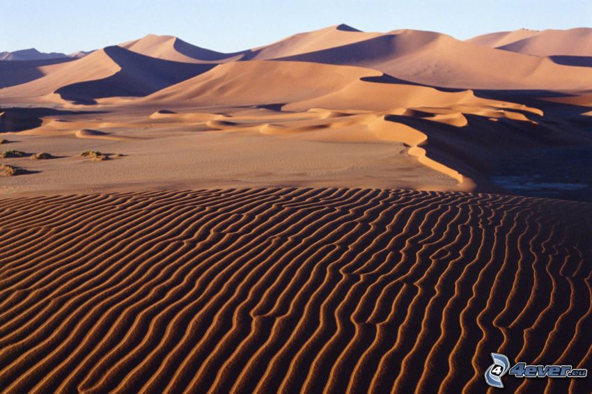 désert, dunes