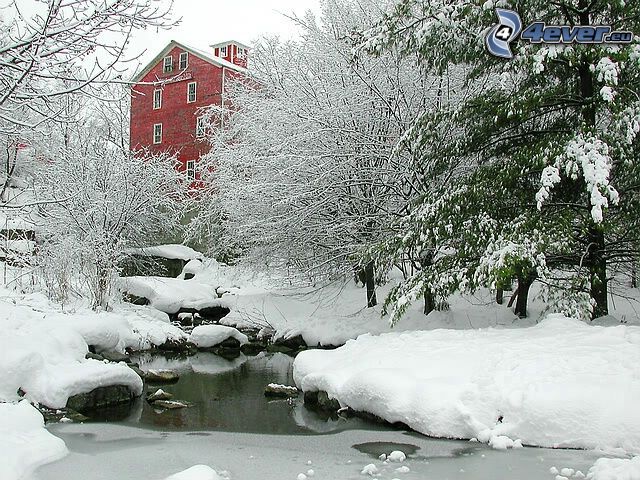 Glen Falls, Williamsville, maison, paysage enneigé, l'hiver, neige, ruisseau congelé, arbres enneigés