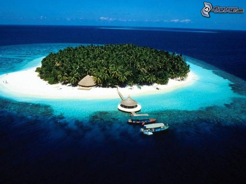 île palmeraie, Maldives, bateaux