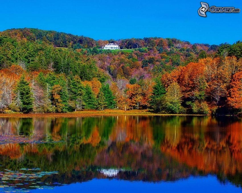 lac, arbres colorés, maison sur la colline, reflexion