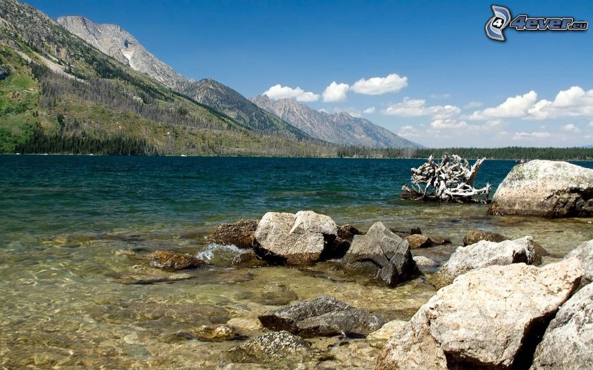 lac, l'eau verte, montagnes, Canada