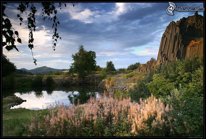 lac, montagne rocheuse, surface de l´eau calme, fleurs, arbre au bord du lac